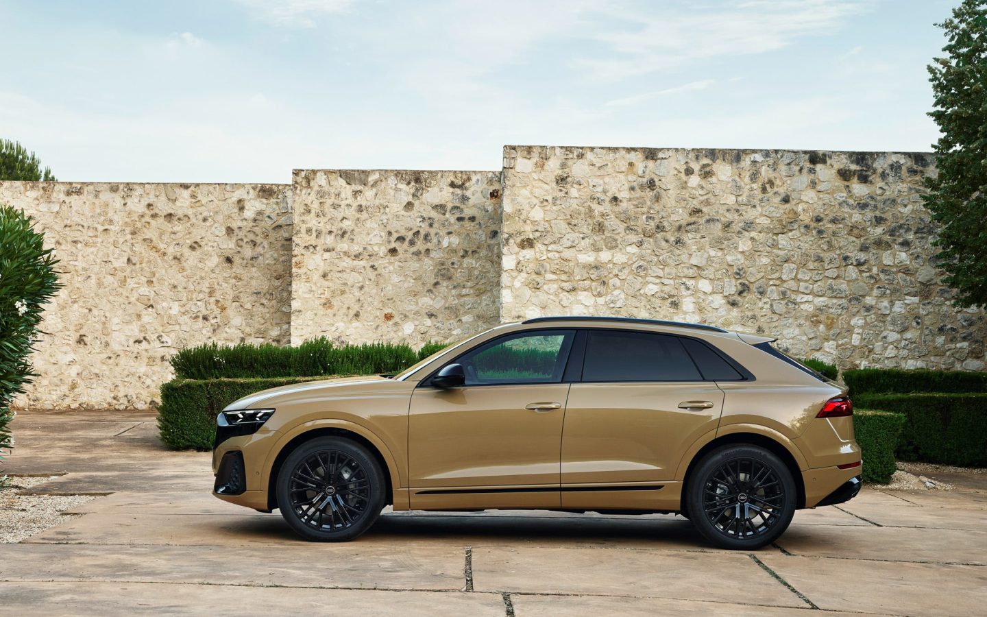الصورة 2 من Audi Q8