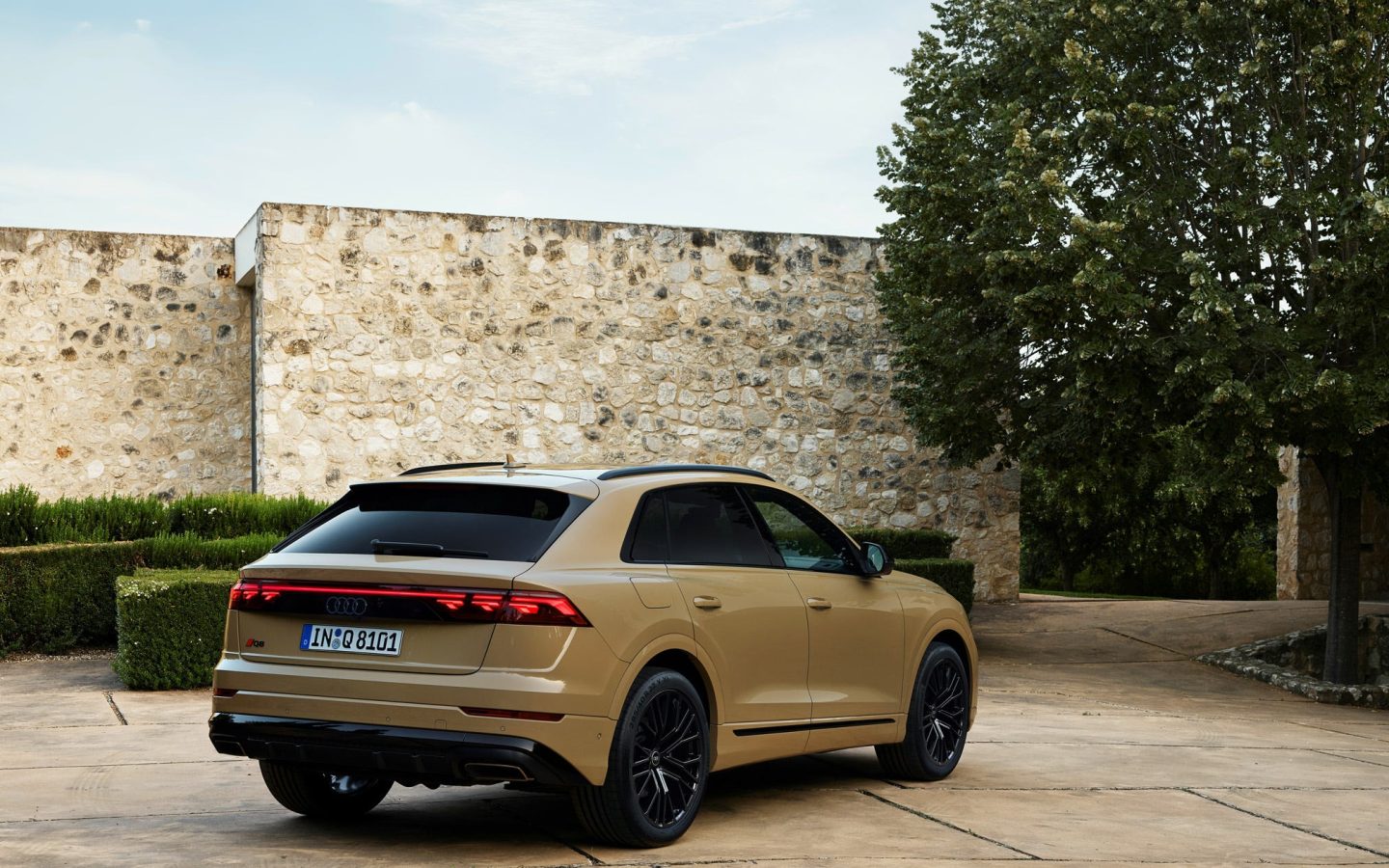 الصورة 3 من Audi Q8