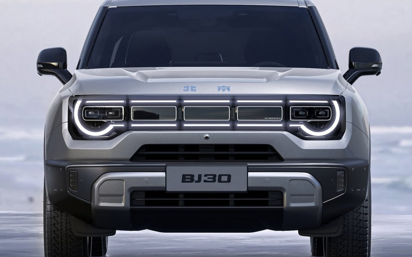 الصورة 3 من BAIC BJ30e