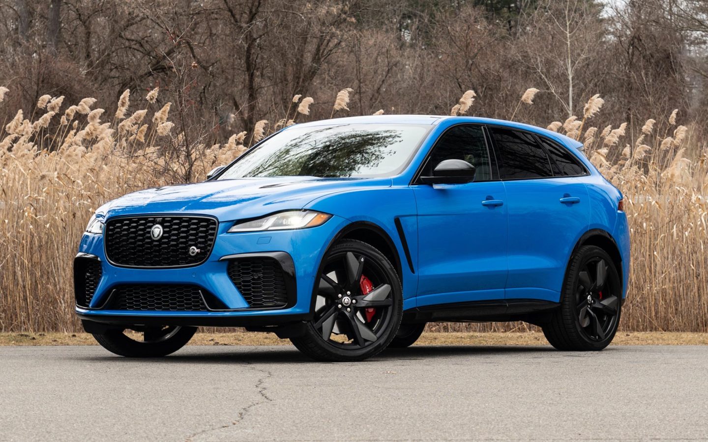 الصورة 2 من Jaguar F-Pace