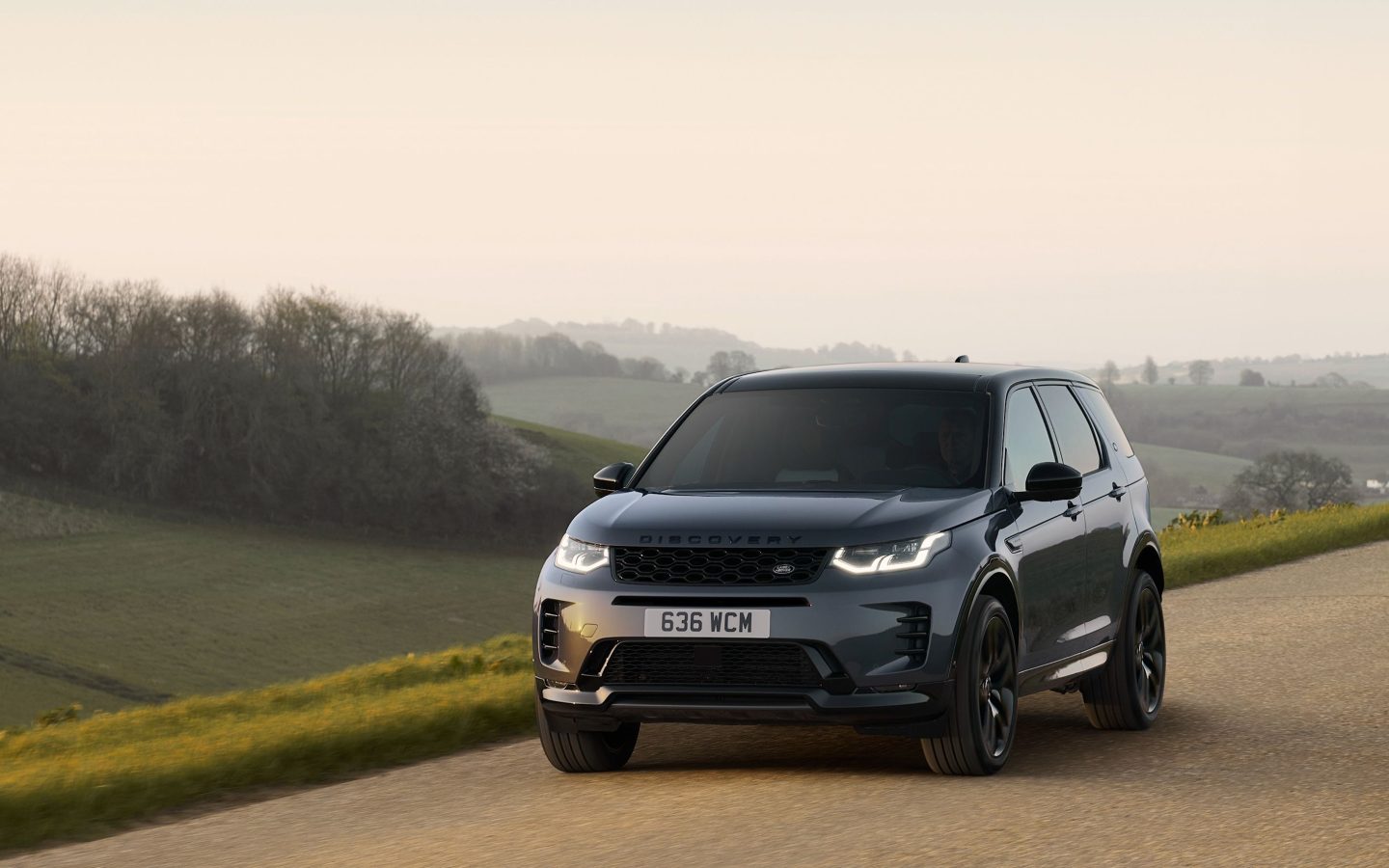 الصورة 2 من Land Rover Discovery